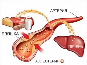 содержание холестерина в крови