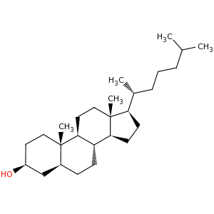 Функции холестанов