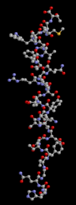 Пептид гистидинметионин