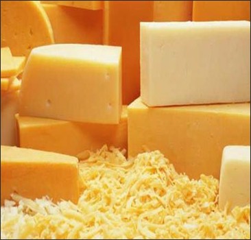 Сыр препятствует развитию диабета