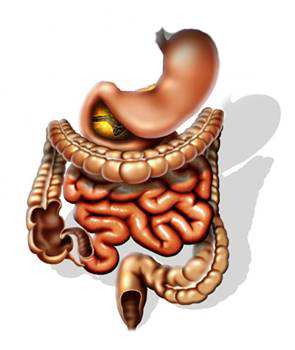 Диабет и желудочно-кишечный тракт