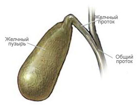 Развитие у больных диабетом заболеваний желчных путей