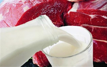 Мясные продукты могут повысить риск развития диабета