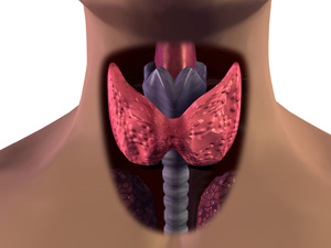 Состояние щитовидной железы у больных диабетом