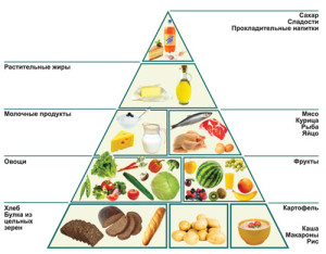 Пищевая пирамида