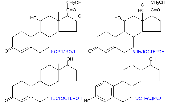 Стероидные гормоны
