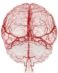 Нарушение мозгового кровообращения