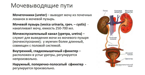 Сахарный диабет и инфекции