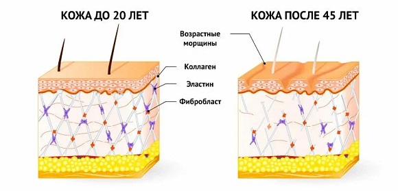 Как меняются запросы пациентов в косметологии после 40 лет
